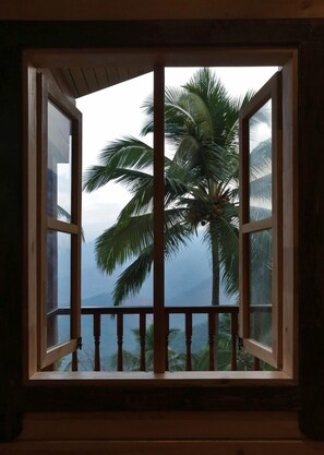 View from bedroom window