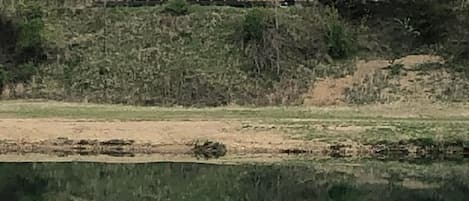 Refection of cabin seen in lake.