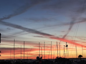 Dunedin Sunset
