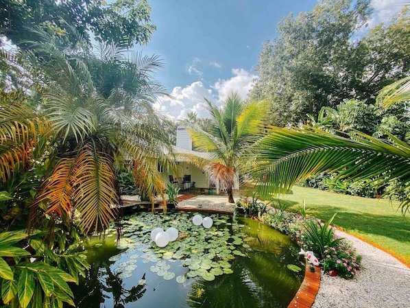 Koi and turtle pond