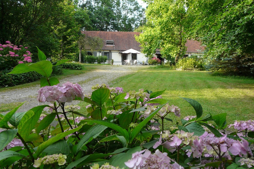 Picture of villa