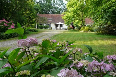 Picture of villa