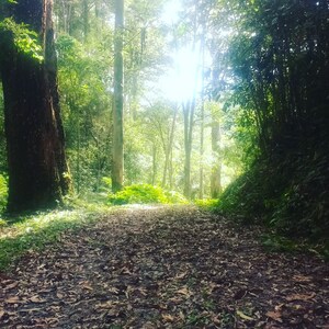 Sitio Ecológico em São Lourenço da Serra (Sitio Catavento)