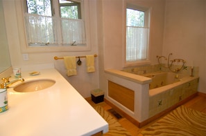 MASTER BATH JACUZZI TUB & SHOWER STALL