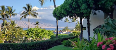 Breathtaking view from ten steps off the lanai