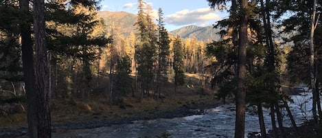 Fall on the river