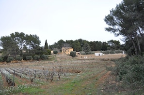 vue panoramique sur le domaine 