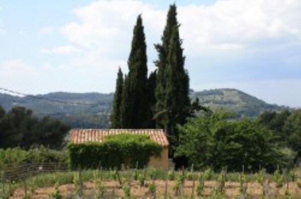 gite localisé au coeur des vignes