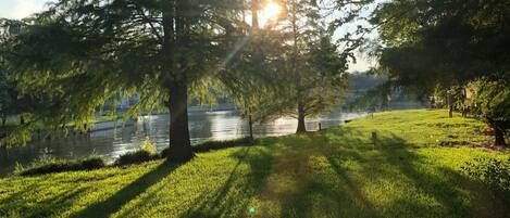 View from the back deck