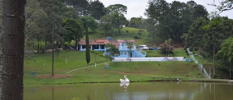 Lago com aves patos e ganços pedalinho.  