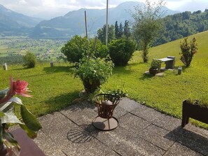 Picture 5