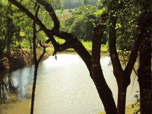 Lago - vista de cima