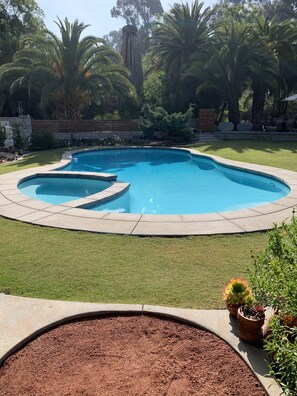 View of pool with palm trees.