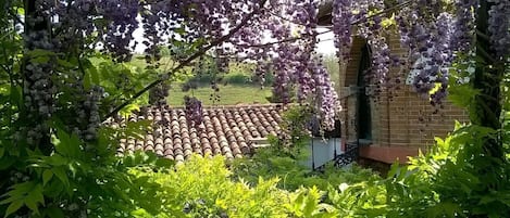 Jardines del alojamiento