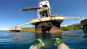 Divers