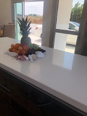 Kitchen work table