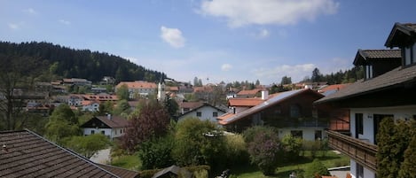 Ferienwohnung Kapellenberg-Blick vom Balkon