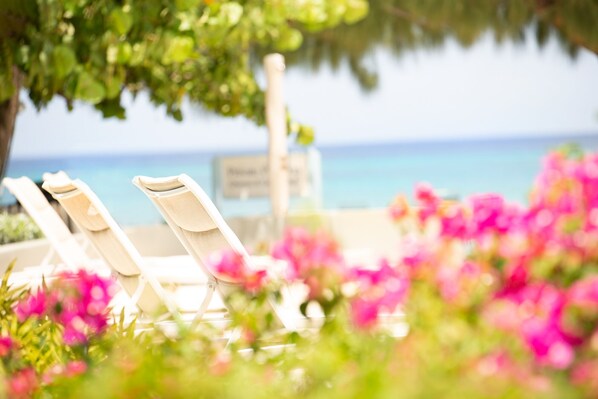 Soak up the colors of the Caribbean! Lush gardens & crystal clear blue waters.