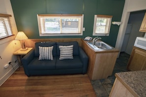 Living Room Showing the Sleeper Sofa