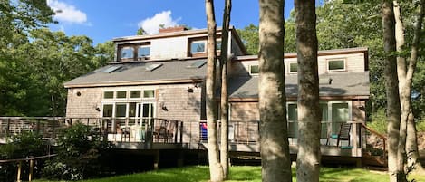 House is down a long driveway and is set amongst a grove of beech trees.