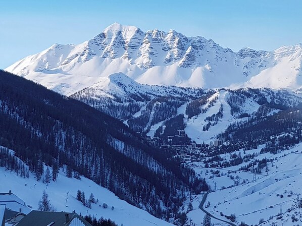 Areal view