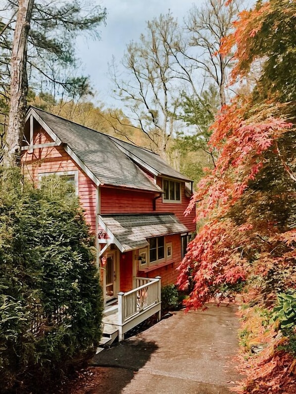 Front of house view and driveway