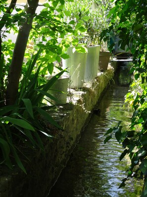 Jardines del alojamiento