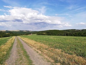 Photo non classée, 5 sur 13, bouton