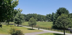 view from porch