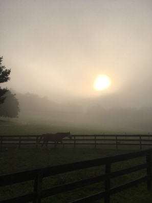 foggy morning sunrise