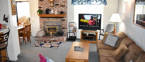 Living area with pellet stove and flat screen tv
