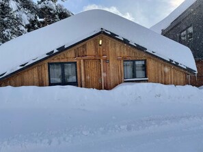 Exteriör