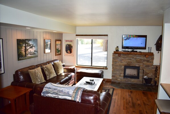 Living room and flat screen TV