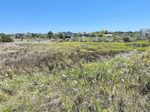 Terrain de l’hébergement 