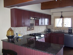 Kitchen with chef's appliances