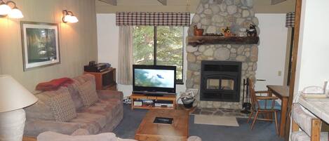 Living room and fireplace