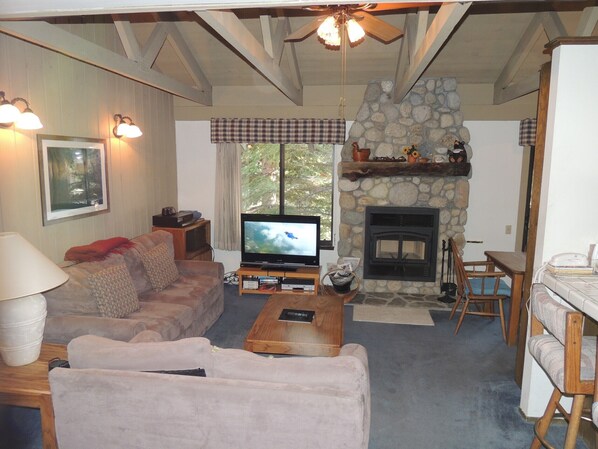 Living room and fireplace