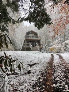 Modern Cabin near Max Patch