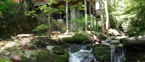 Creek runs right along cabin!