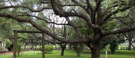 Jardines del alojamiento