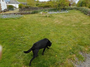 lawn area to north side
