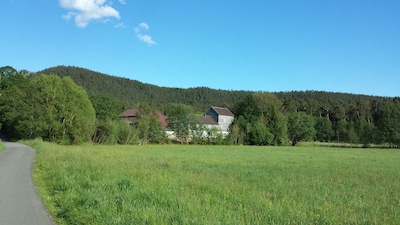 Apartamento en finca con molino de agua y mucha naturaleza