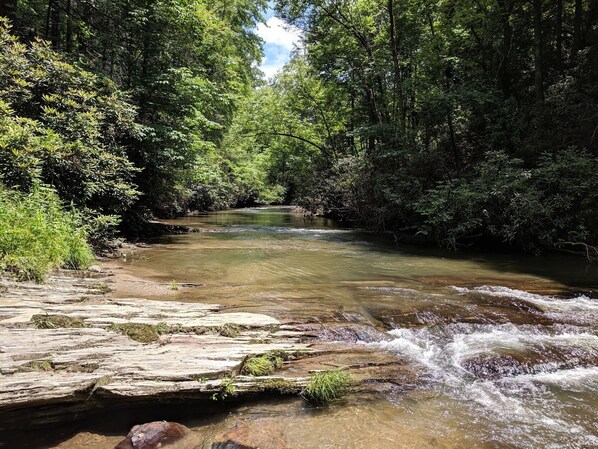 Your view up the beautiful Broad River