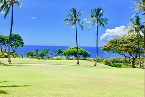 View From Lanai