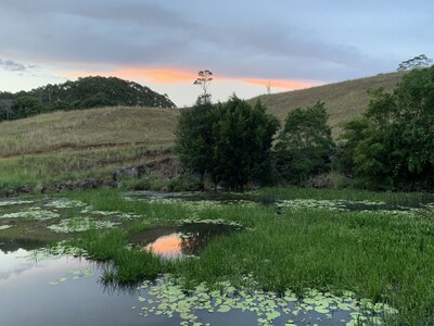 Federal Estate Retreat,  Bryon Hinterland.