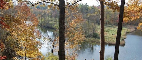 Terrain de l’hébergement 