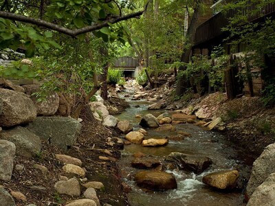 Enchanting Hideaway ON Cheyenne Creek! Five Minute Walk to Broadmoor!
