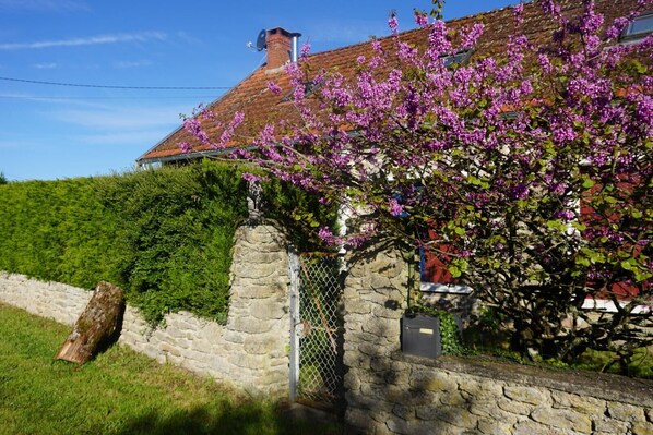 Front of the house