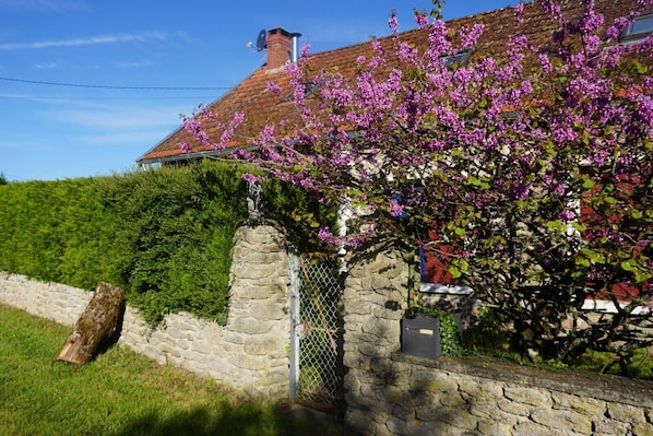 Front of the house