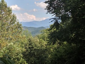 Summer view from the deck!!!